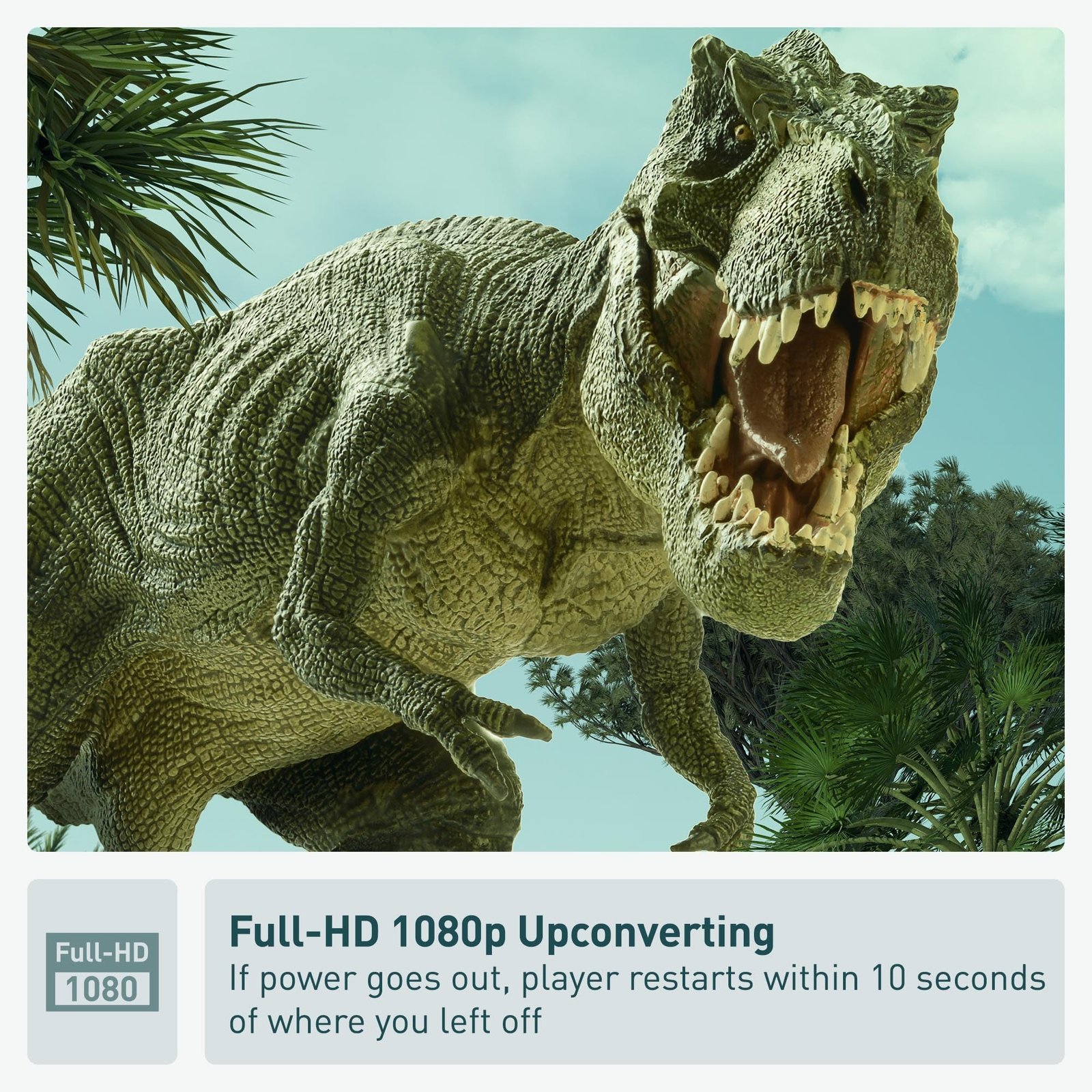 Panasonic DVD Player DVD-S700 (Black) Upconvert DVDs to 1080p Detail, Dolby Sound from DVD/CDs View Content Via USB - Image 8